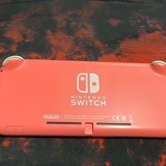 早い者勝ち‼️Switchライト　ダウンロードソフト付き