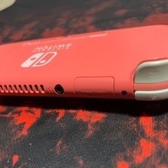 早い者勝ち‼️Switchライト　ダウンロードソフト付き