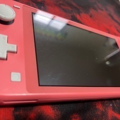 早い者勝ち‼️Switchライト　ダウンロードソフト付き