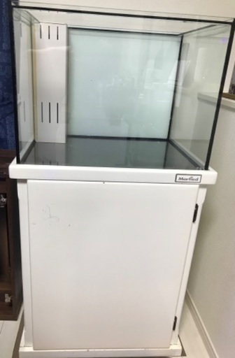 Marfiedマーフィード中古水槽　最終値下❗️
