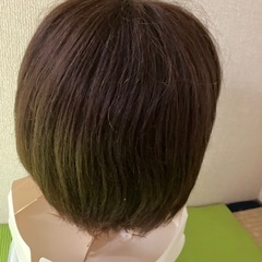 ウィッグ　レディースアートネーチャー