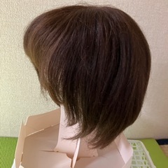 ウィッグ　レディースアートネーチャー