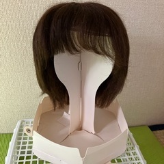ウィッグ　レディースアートネーチャー