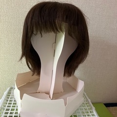 ウィッグ　レディースアートネーチャー
