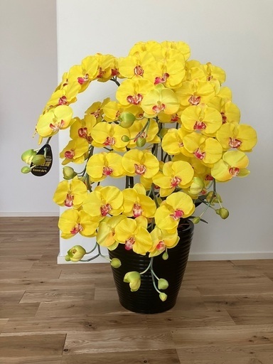 【新品】胡蝶蘭　造花