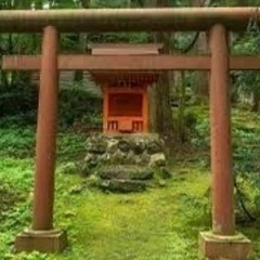 なごや神社巡り⛩️