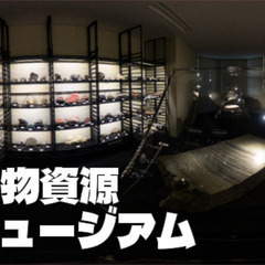鉱物博物館！東京大学鉱物資源フロンティアミュージアム「ミネラフロント」