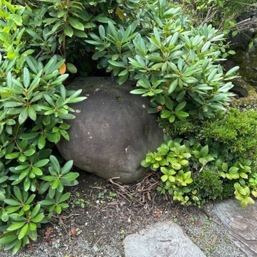 庭石、池、ガーデニング用石30個