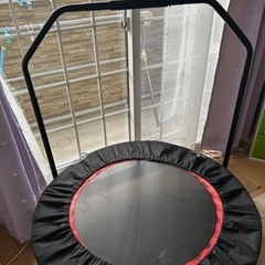 大型トランポリン スポーツの中古が安い！激安で譲ります・無料で  