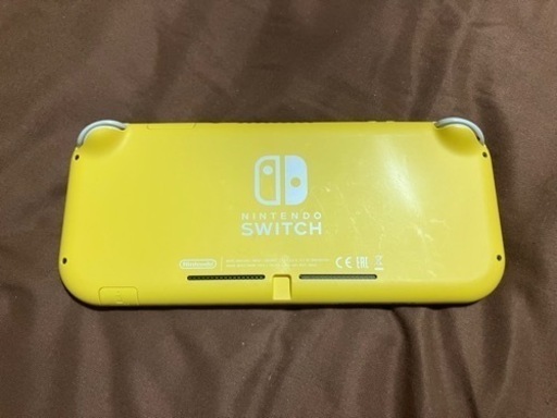 ニンテンドーDS,3DS Nintendo Switch Lite\n