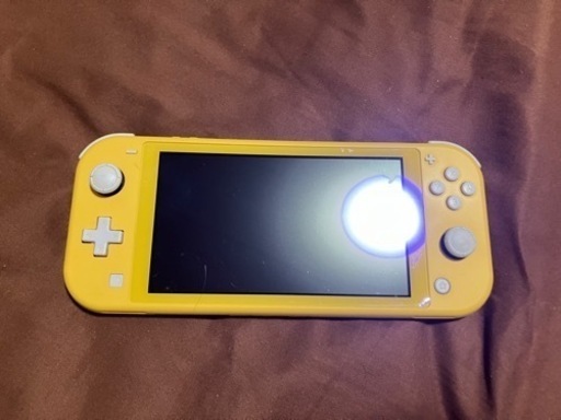 ニンテンドーDS,3DS Nintendo Switch Lite\n