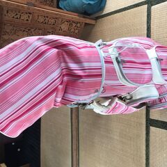 レディースクラブセット