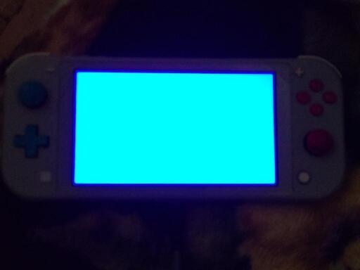 Switch lightポケモン ザシアン・ザマゼンタ柄