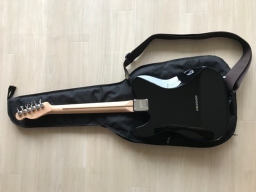 ☆Aria Dreadnought AF-280 単板トップ RITTERギグバッグ