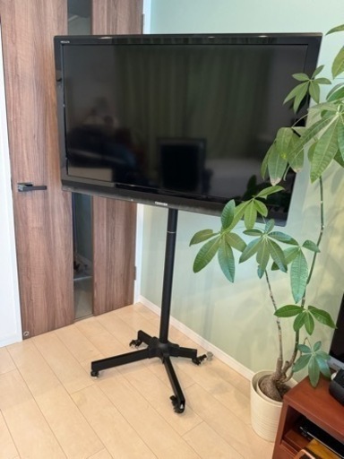 移動式スタンド付き46インチREGZAテレビ