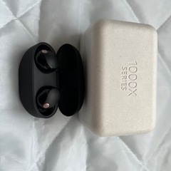 ソニー ワイヤレスノイズキャンセリングイヤホン WF-1000XM5