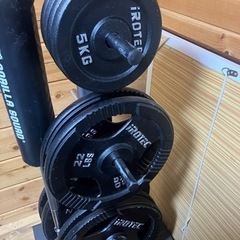 フレックスベル36kgx2 プレート15kgx2 懸垂バー ユニバーサルバーンマシン