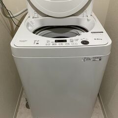 洗濯機【2022購入】 - 洗濯機 