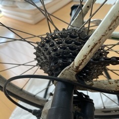 GIOS MIGNON ミニベロ（現地渡しのみ）