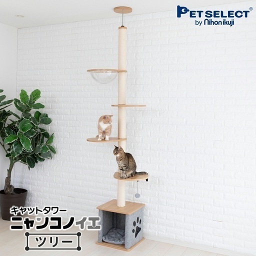 【美品】キャットタワー（突っ張り式）