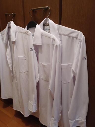 羽衣学園高等学校　男子制服シャツ５枚