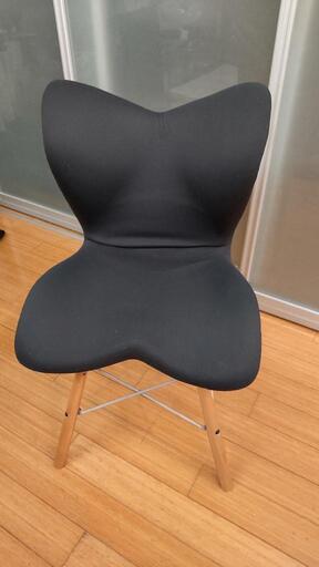 MTG姿勢サポートシートStyle Chair PM