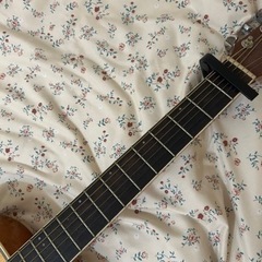 james アコースティックギター jf400