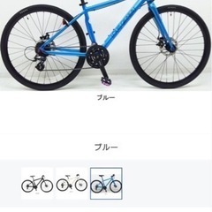 ルイガノ LOUIS GARNEAU クロスバイク LGS-TR LITE EA
