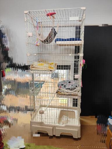 猫ゲージ3段
