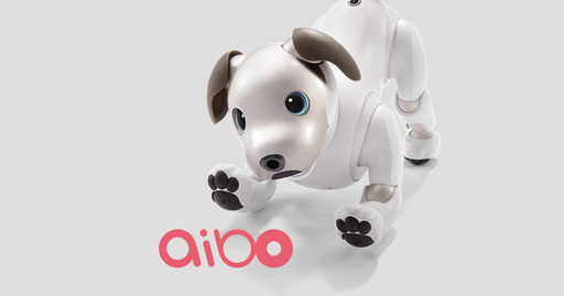 その他 SONY AIBO ERS-1000