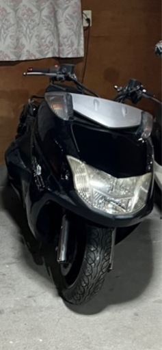マグザム　250