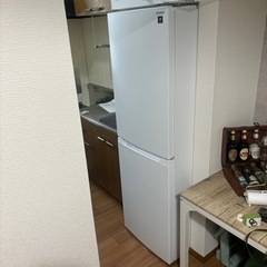 使用期間半年！SHARP冷蔵庫