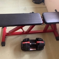 SALOMON HPS LOUIF PARADIS 159cm