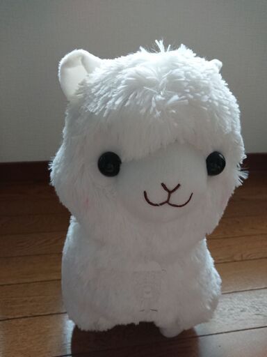お得アルパカセット
