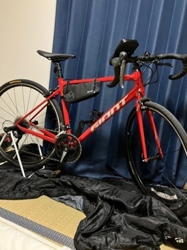 GIANT CONTEND2【2021】