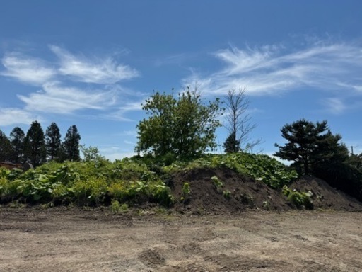 黒土売ります。4トンダンプで運びます。畑　ガーデニング 黒土売ります。4トンダンプで運びます。畑 ガーデニング