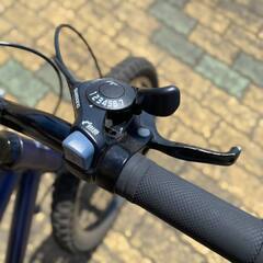 値下げしました！☆20インチ☆キッズ用クロスバイク（適応身長108～130cm）RITEWAY ZIT 20（子供用自転車）