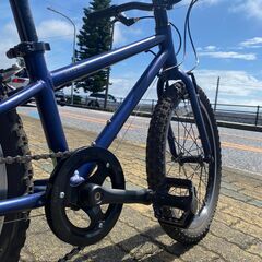 値下げしました！☆20インチ☆キッズ用クロスバイク（適応身長108～130cm）RITEWAY ZIT 20（子供用自転車）