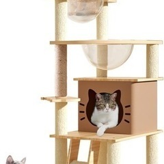 長崎県のキャットタワーの中古が安い！激安で譲ります・無料であげます  