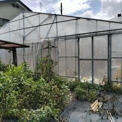 パイプハウス（足場パイプ使用)