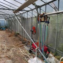 パイプハウス（足場パイプ使用)