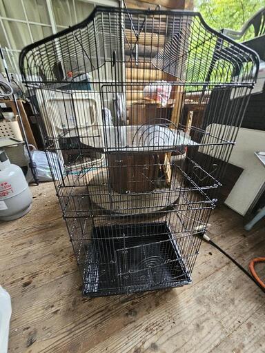 鳥かごセットすぐに飼えます