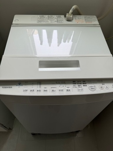 2019年製 TOSHIBA 洗濯機(7kg)
