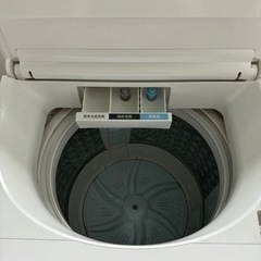 2019年製 TOSHIBA 洗濯機(7kg)