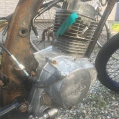 ホンダ エイプ100】エイプ50とはエンジンの互換性ナシ！違いを