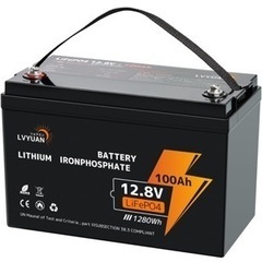 受け渡し予定あり　新品未使用　12V 100Ah リン酸鉄リチウムイオンバッテリー