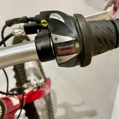 ルイガノ　LOUIS GARNEAU 自転車　子ども用　22インチ
