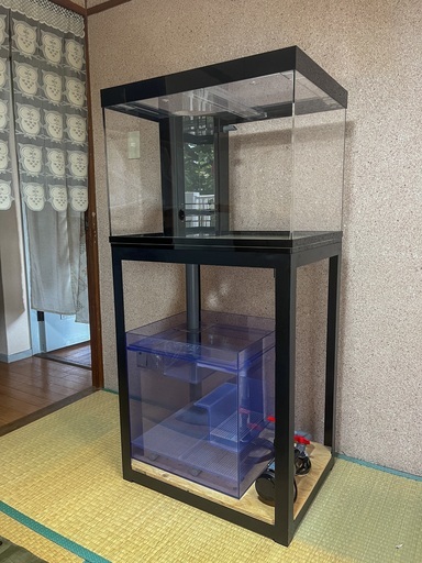 60cmオーバーフロー水槽