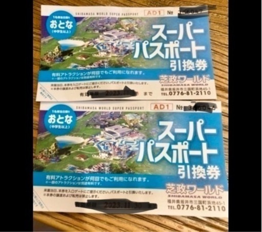芝政ワールド　スーパーパスポート　大人チケット　2枚
