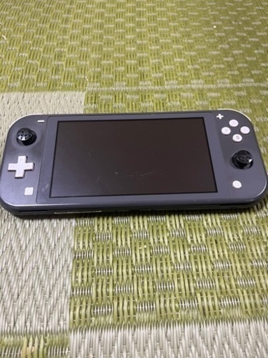 周辺機器 Switch Light